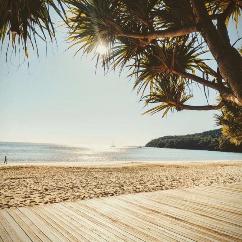 Sunlit Noosa beach with palm trees, a quiet setting for a regular self-care ritual