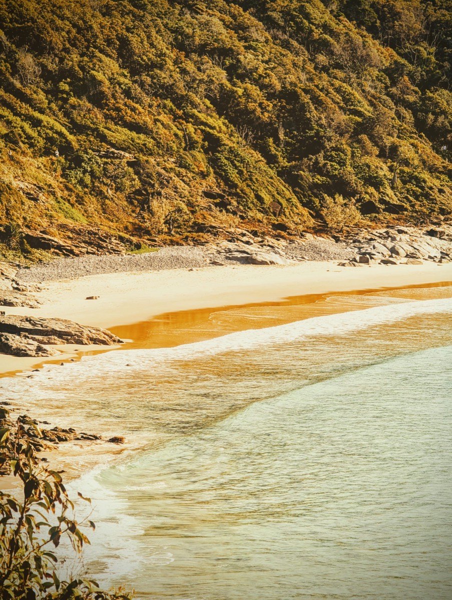 A secluded beach along the Noosa coastline, framed by native bushland