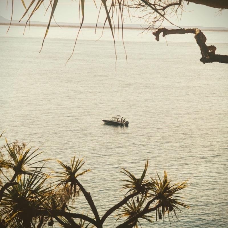 Noosa waterway framed by pandanus trees at golden hour